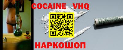 стафф Кингисепп