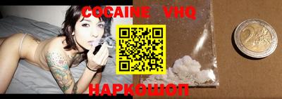 стафф Кингисепп
