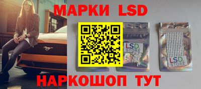 стафф Кингисепп