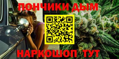 стафф Кингисепп