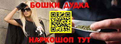 стафф Кингисепп
