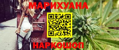 стафф Кингисепп