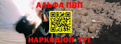 стафф Кингисепп