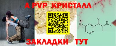 стафф Кингисепп