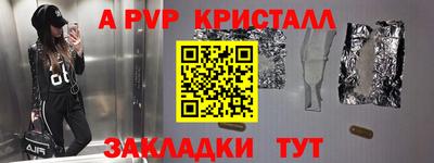 стафф Кингисепп